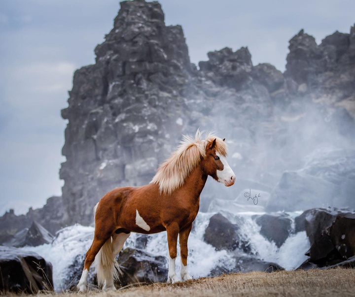 Gallery of photography by Liga Liepina - Iceland