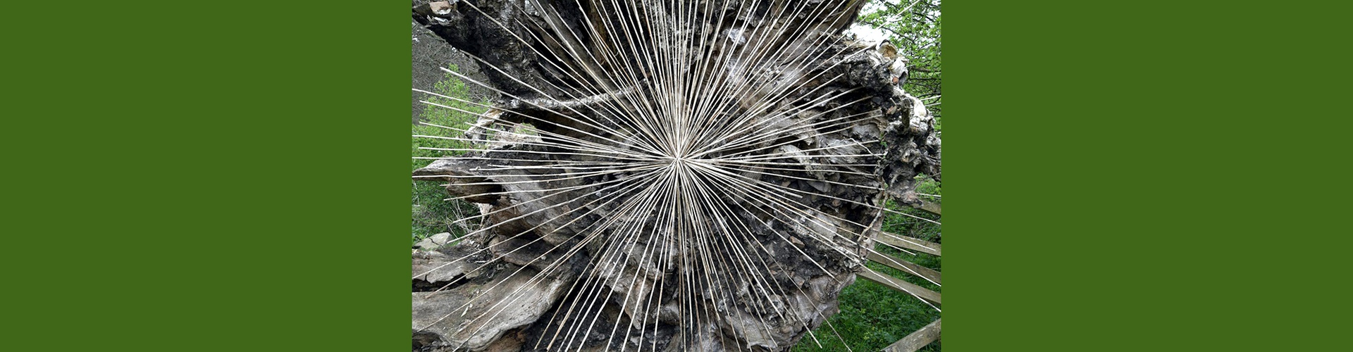 Gallery of Modern Art by Andy Goldsworthy - England