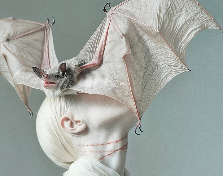 Gallery of Modern Art by Mira Nedyalkova - Bulgaria