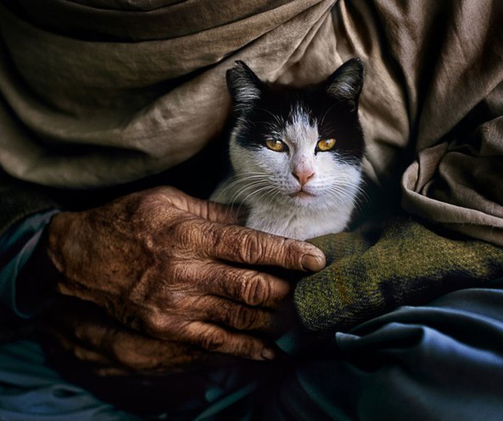 Gallery of Photography by Steve McCurry - USA