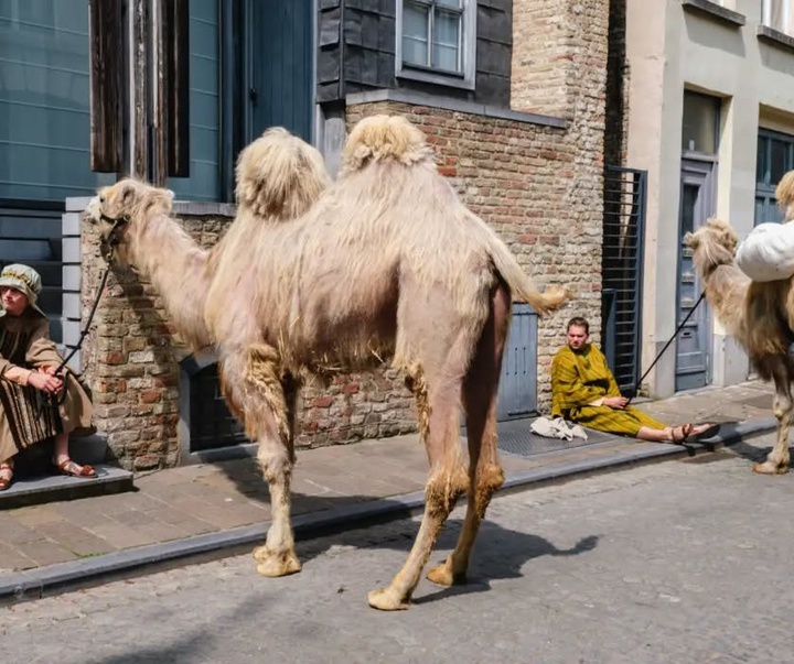 Gallery of Photography by Jeffrey De Keyser - Belgium