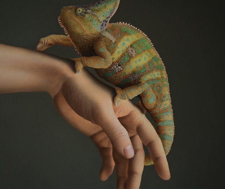 Marco Grassi