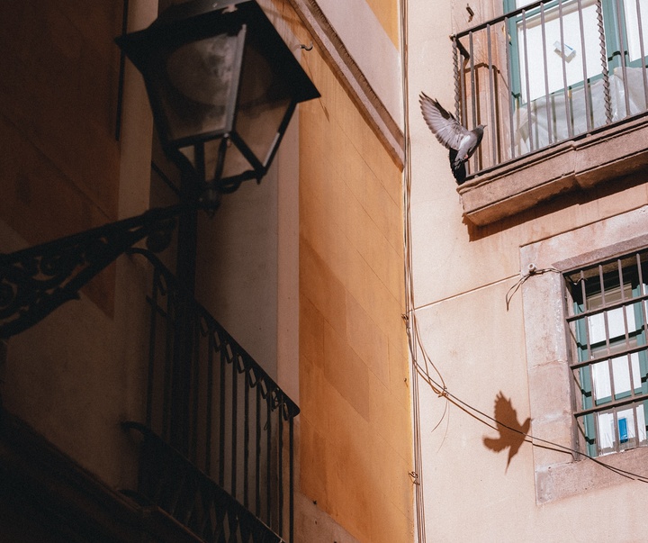 Gallery of Photography by Peter Jonker - Spain