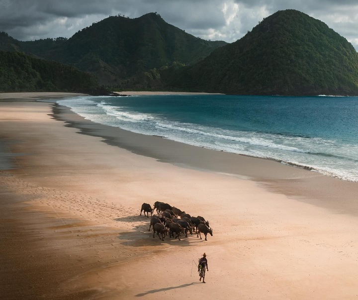 Gallery of Photography by Jord Hammond - UK