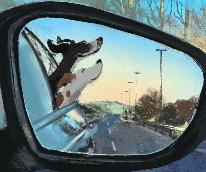 Gallery of Illustration by Jenny Bloomfield - UK