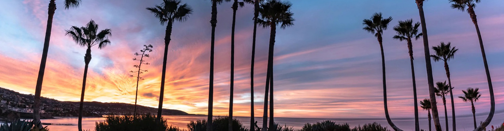 Gallery of photography by Beau Jesse Johnston-USA