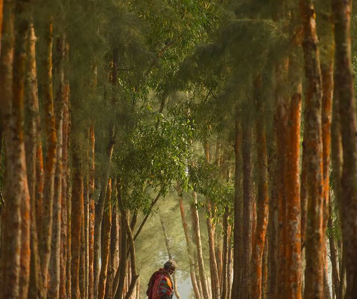 Gallery of photography by Tanay Sahoo-India