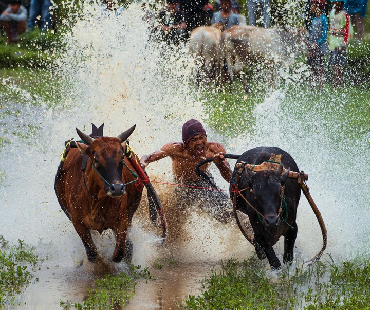 Gallery of Photography by Mahendra Bakle - India