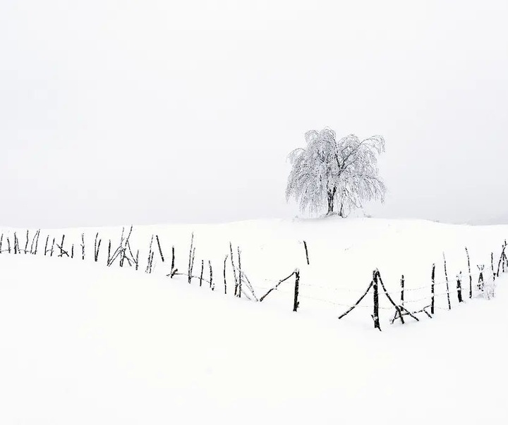 Gallery of photography by Niyazi Gurgen-Turkey