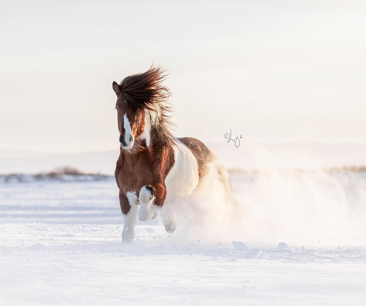 Gallery of photography by Liga Liepina - Iceland