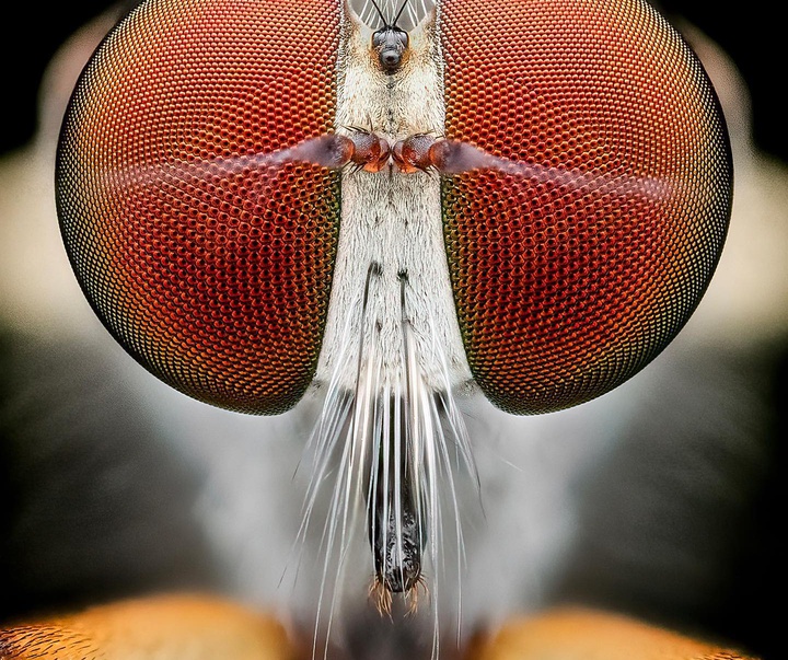 Gallery of Photography by Ben Salb - USA