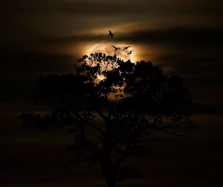 Gallery of Photography by Benjamin Wolf - USA