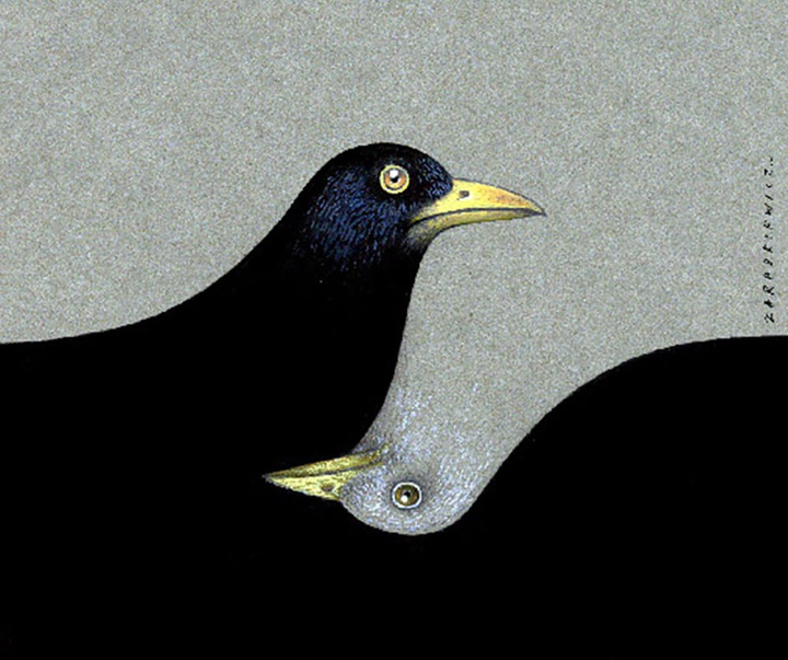 Gallery of Cartoon by Zygmunt Zaradkiewicz-Poland