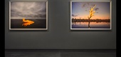 Hamiltons Gallery exhibits a new series by Murray Fredericks