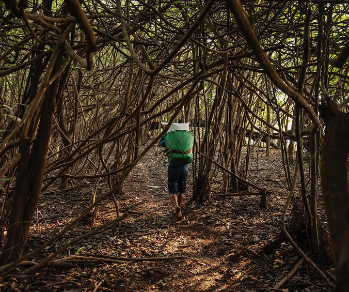 Gallery of Photography by Lalo de Almeida - Brazil