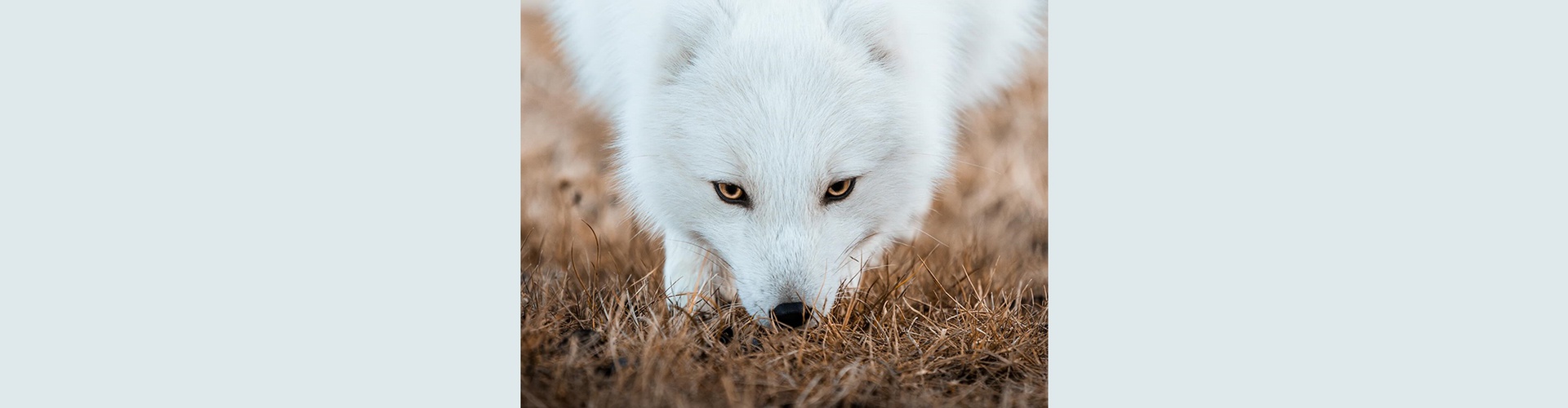 Gallery of Photography by Dani Guindo - Spain