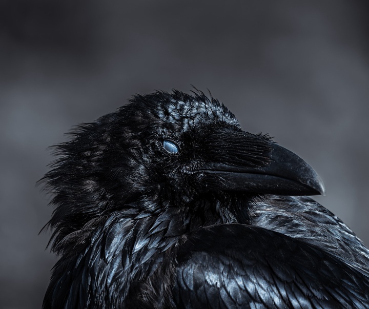 Gallery of Photography by Dani Guindo - Spain