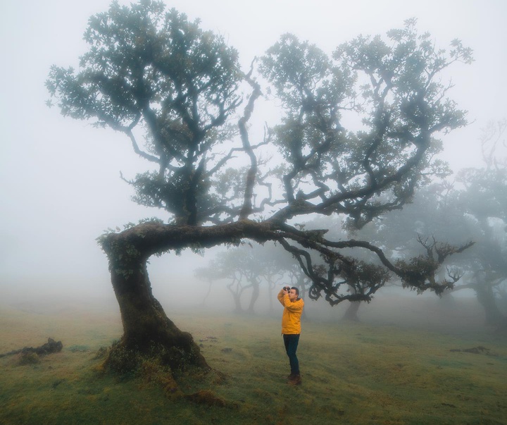 Gallery of photography by Long-Nong Huang - Germany