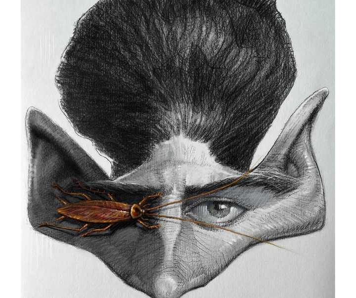 Gallery of Caricature by Dalcio Machado- Brazil