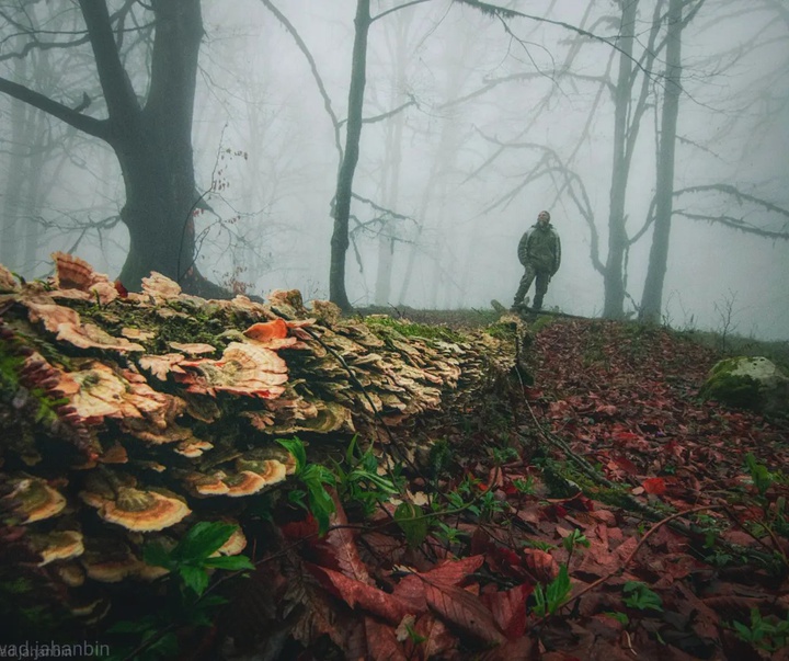 Gallery of Photography by Javad Jahanbin- Iran