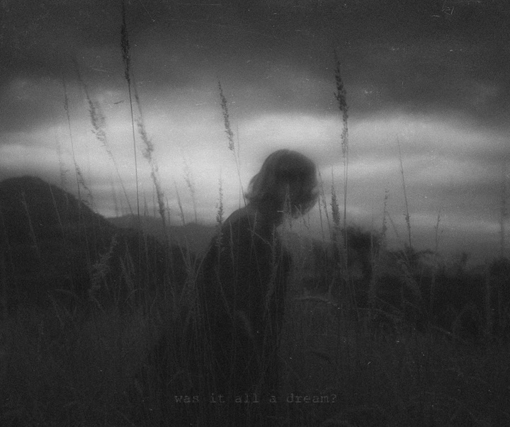 Gallery of Photography by Josiah Farrow - USA