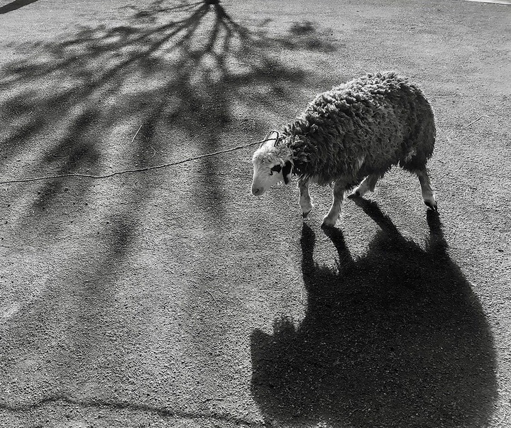 Gallery of photography by Ehsan Hemmati-Iran