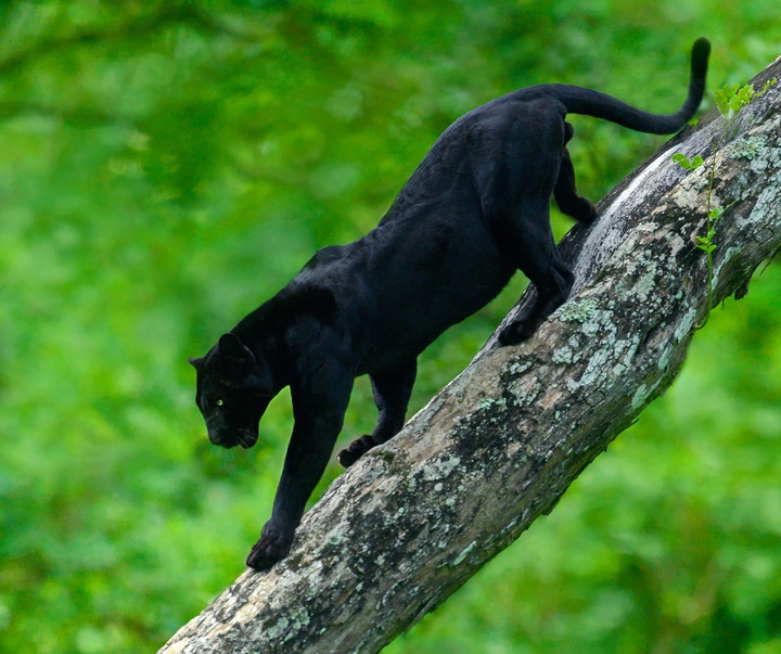 Gallery of Photography by Mithun Hunugund