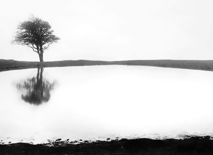 Gallery of photography by Noel Bodle - England