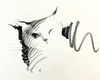 Shou Xin