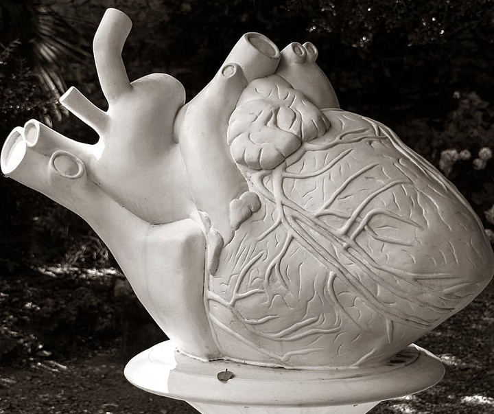 Gallery of Sculpture by ghyslain bertholon - France
