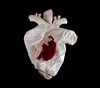 Gallery of Modern Art by Polina Osipova - Russia