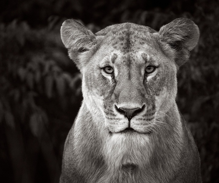 Gallery of Photography by Drew Doggett - USA
