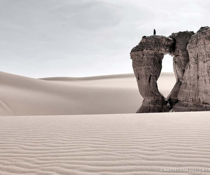 Gallery of Photography by Marsel van Oosten- Netherlands