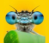 Gallery of Photography by Ben Salb - USA