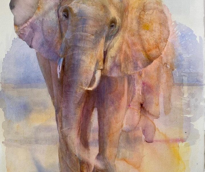 Gallery of Watercolor painting by Anette Gustafsson-Sweden