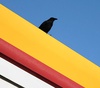 Gallery of Photography by Guido Klumpe - Germany