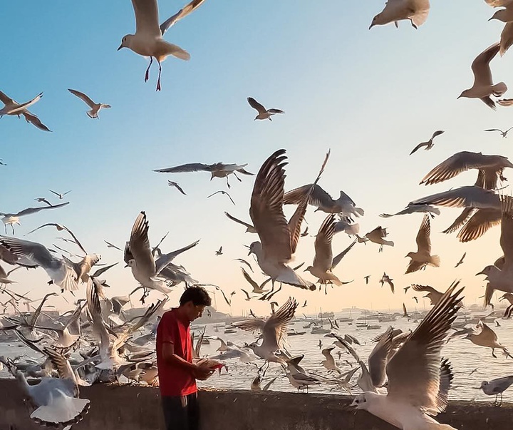 Gallery of Photography by Star Udyawar - India