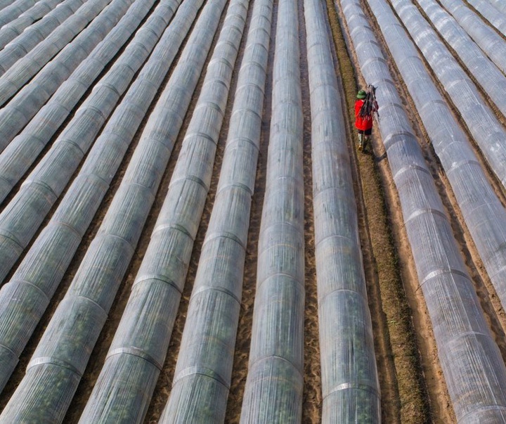 Gallery of Photography by Tran Tuan Viet - Vietnam