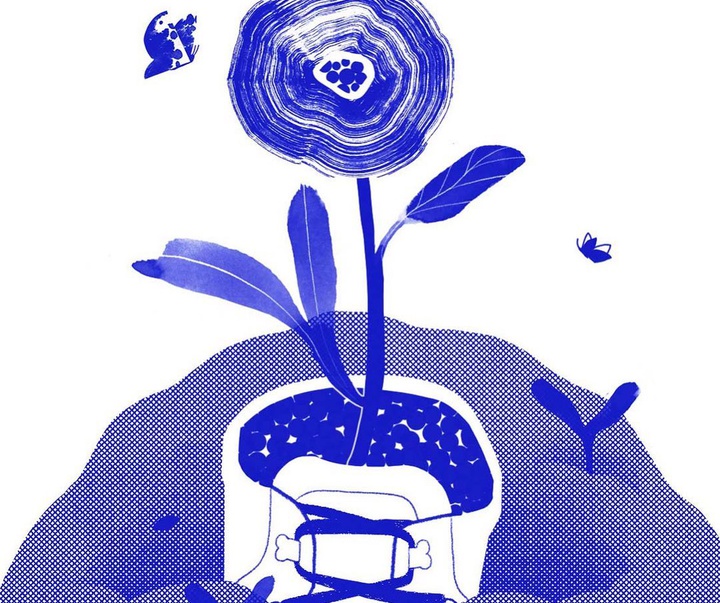 Gallery of Illustration by Gina Rosas Moncada - Colombia