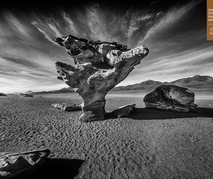 Gallery of photography by Rocha" - Roberto Soares Gomez-Brazil