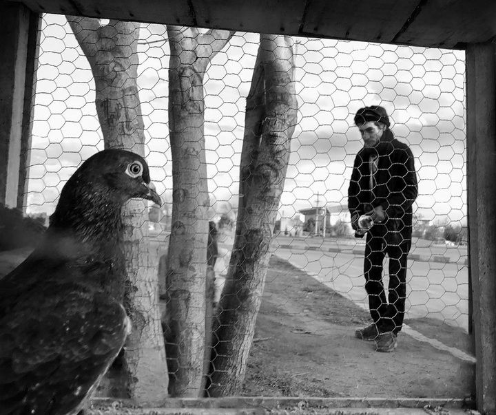 Gallery of photography by Ehsan Hemmati-Iran
