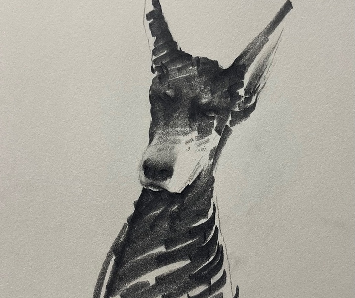 Shou Xin