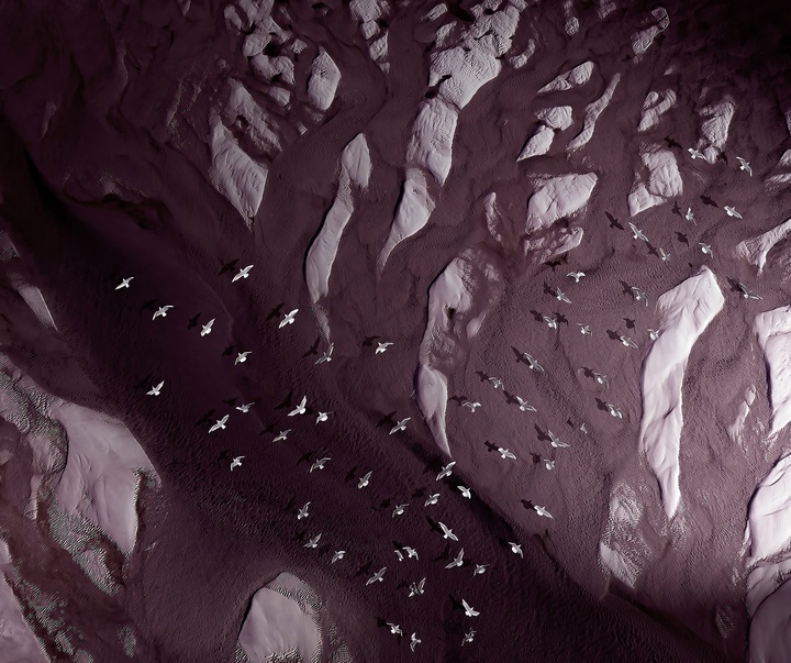Gallery of Photography by Joanna Steidle - USA