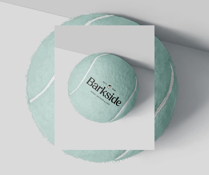 Gallery of Graphics by Kaaio Studio - New Zealand