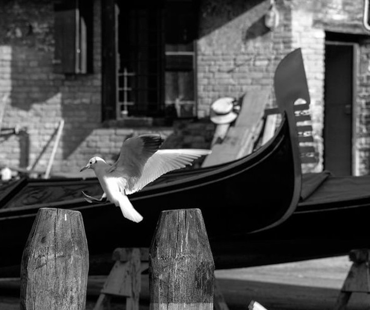 Gallery of Photography by Marc De Tollenaere - Italy