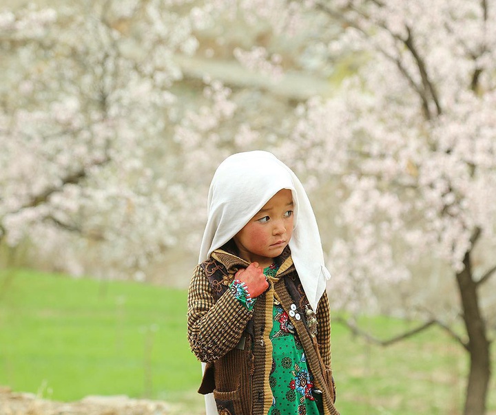 Gallery of Photography by Jafar Rahimi-Afghanistan