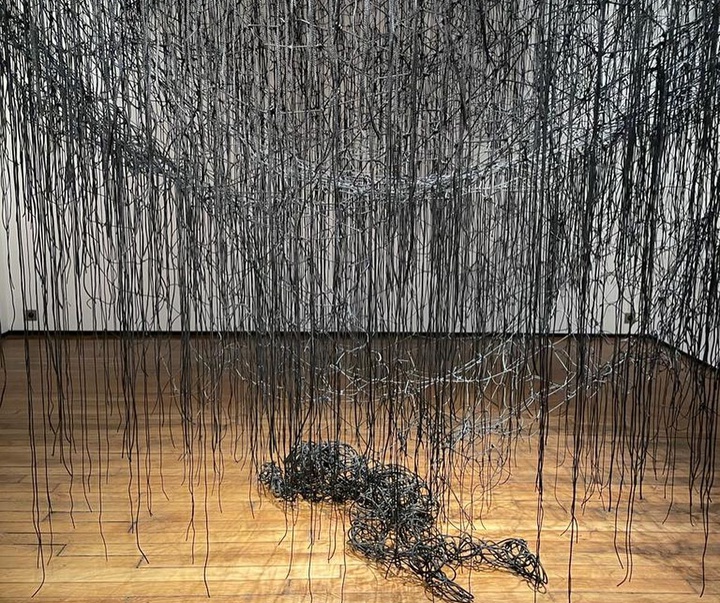 Gallery of Modern Art by Chiharu Shiota - Japan
