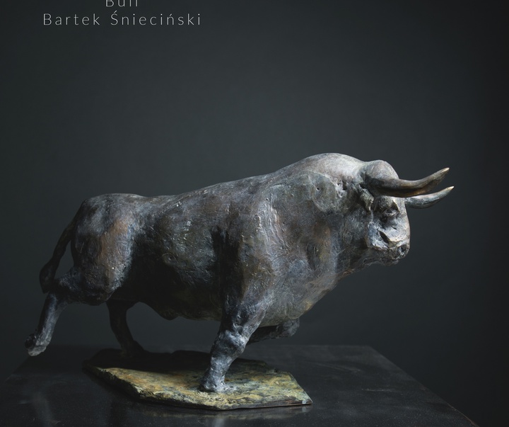 Gallery of Sculpture by Bartek Śnieciński - Poland