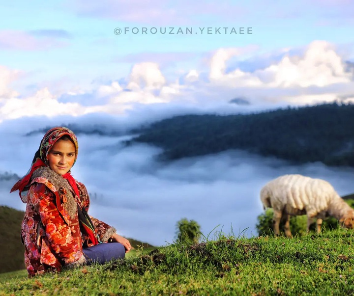 Gallery of Photography by Forouzan Yektaee-Iran