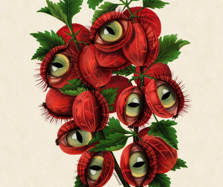 Gallery of Illustration by Beto Valencia - Ecuador